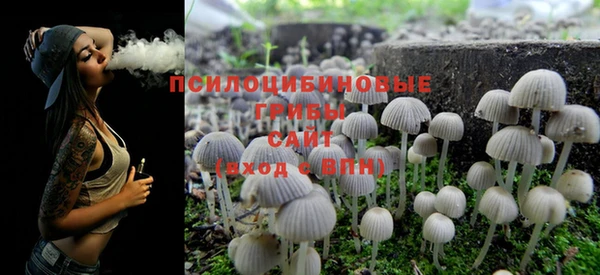 спиды Бронницы