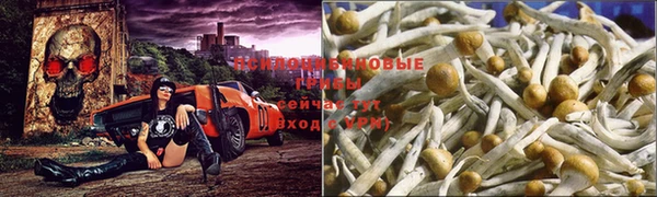 эйфоретик Бугульма