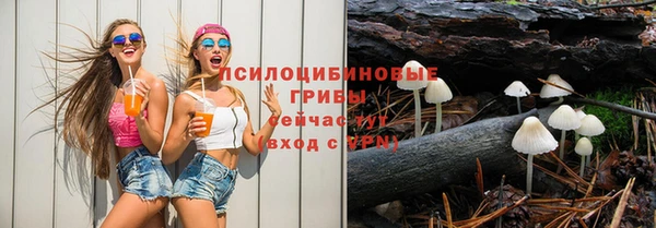 спиды Бронницы